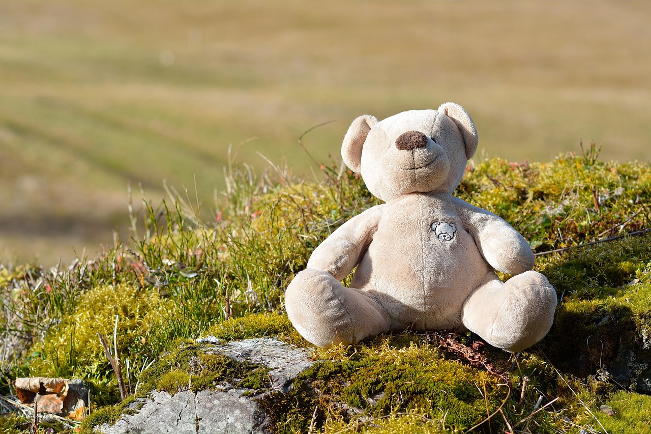 Opinioni sul Peluche Rilassante: un investimento per la serenità?