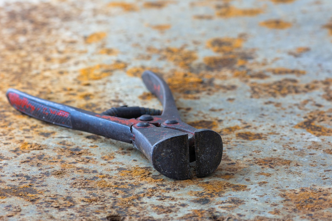 RuggineX: tutto quello che devi sapere sul prezzo e le opinioni